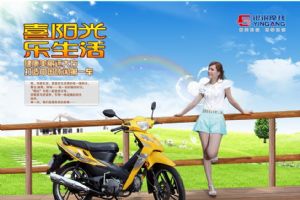 ����YG110-6Aͼ��