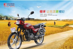 ����YG150-12Aͼ��