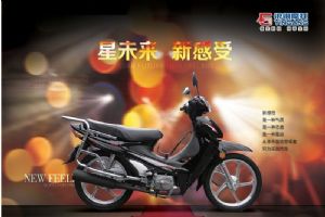 ����YG48Q-6Aͼ��