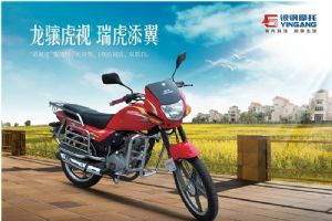 ����YG125-20Aͼ��