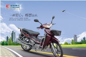 ����YG110-2Aͼ��