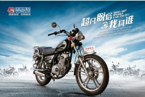 ����YG125-11Aͼ��