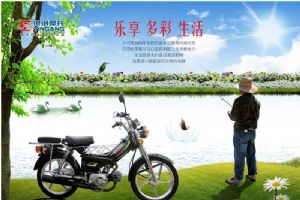 ����YG48Q-3Aͼ��