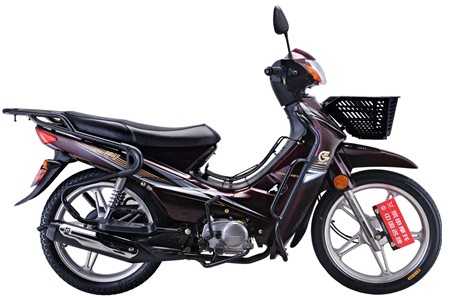 ���� ZS100-9S