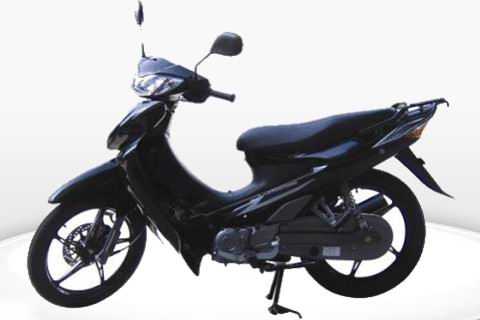 �ֺ� LH110