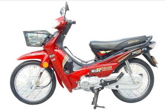 ���� ZS50Q-13