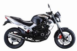 �����HL250-19P�������