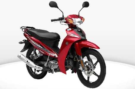 �ֺ� LYM110-2