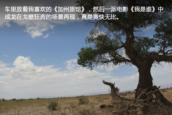 �ҵĻ����ռǣ����� �����ϵ����̹���(3)