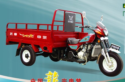 �������� ZS175ZH-3A
