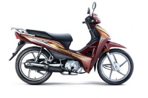 �´��ޱ��������� SDH110-19�������