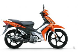 �����ŵ� HJ110-5�������