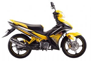 ����SL110-10�������