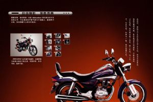 �´��ޱ���SDH150-16ͼ��1
