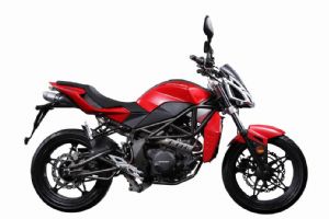 �����ױ� ZS250GS-3�������