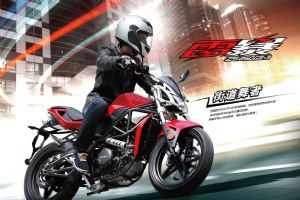 ����ZS250GS-3ͼ��
