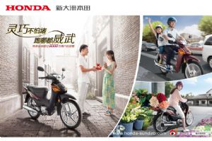 �´��ޱ����������� SDH100-43Aͼ��