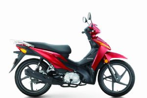 �´��ޱ�����Ʈ�� SDH110-16A�������
