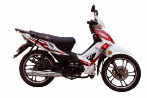 ����YG110-6A�������
