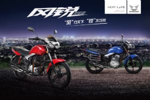 ����ZS150-40Fͼ��