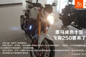 �ɿ�FK250-A������ɫʮ�� �ɿ�250Ҫ����