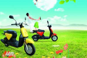 HYOSUNG��ʤĦ����¹ QM48QT-8E(I)C����