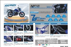 ����LF125-2E(CCR125)ͼ��