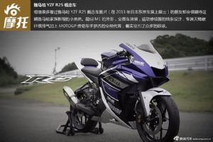 ������YAMAHA2014 YZF-R25ϸ��չʾ
