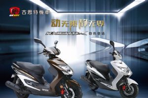 ��˼��GST125T-11Aͼ��