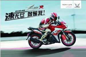 ����Z-oneR ZS150-48A(������)ͼ��1