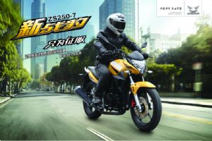 ������ս�� ZS250-7ͼ��