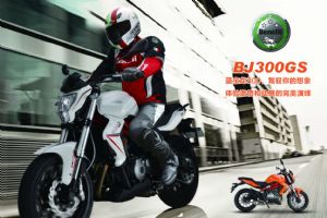 Ǯ��������300 BJ300GSͼ��