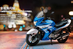 ������ľGW250Fͼ��