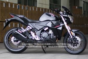 �ξ�N10(250CC)̫��սʿ �ξ�N10Sʵ��