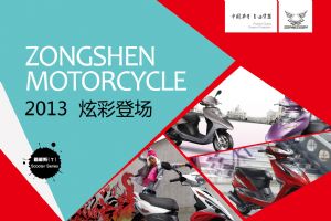 �����Ӱ ZS125T-25ͼ��