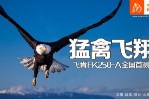�ɿ�FK250-A���ݷ��� �ɿ�FK250-Aȫ���ײ�