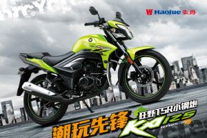 ����HJ125-22ͼ��