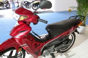 ����JS110-9C2014Ħ����JS110-9C��ӱ