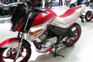 ����JS150-312014Ħ����JS150-31�޽���
