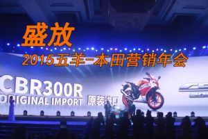ʢ�š�����-����2015Ӫ�����