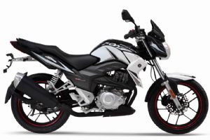 ����Z-one 2015��ZS150-48A�������