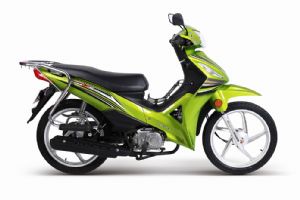 ����V5 ZS110-9D�������