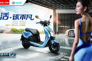 ����-����WH1200DT-2ͼ��