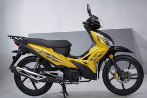 ����-���￭Ӱ125 WH125-13�������