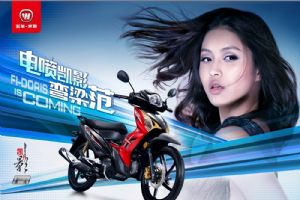 ����-����WH125-13(�����)ͼ��