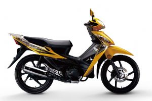 ����-������100 WH100-2�������