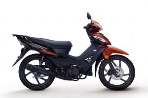 ����-������ WH100-2A�������