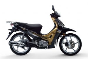 ����-�����·�Ӱ125 WY125-S�������