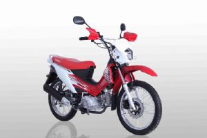 ����LF125-26B(����)�������