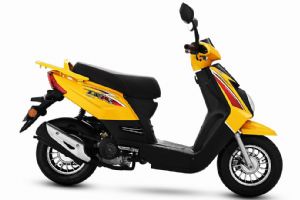 ����ZN48QT-11D�������